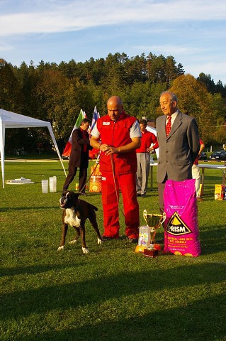 www.boxer-show.eu